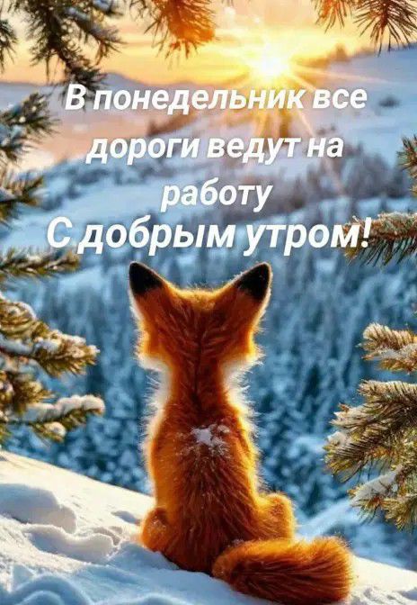 В понедельник все дороги ведут на работу С добрым утром!