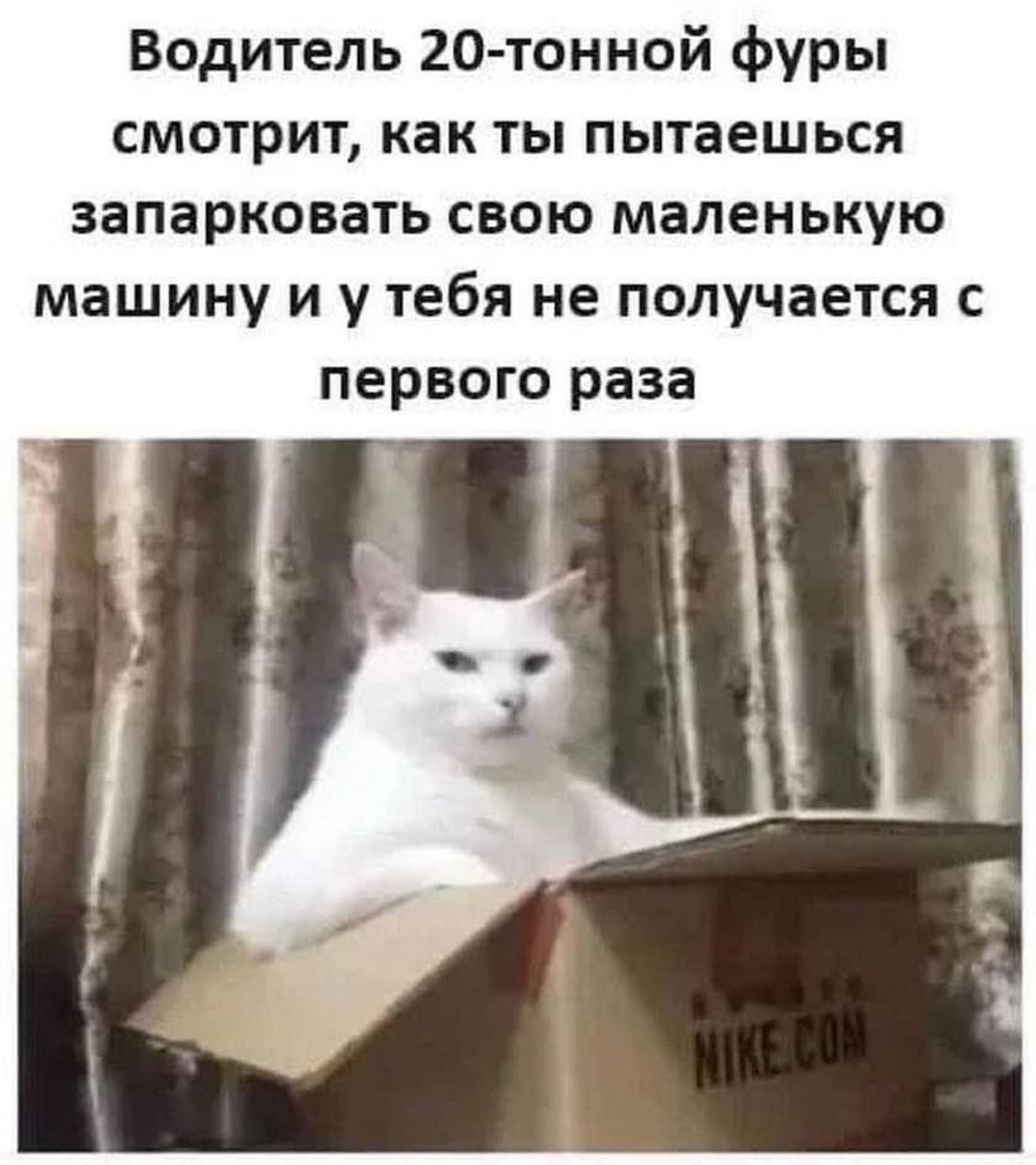 Водитель 20-тонной фуры смотрит, как ты пытаешься запарковать свою маленькую машинку и у тебя не получается с первого раза