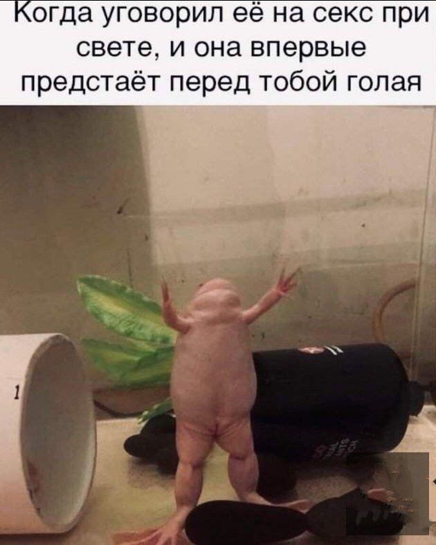 Когда уговорил её на секс при свете, и она впервые предстaёт перед тобой голая