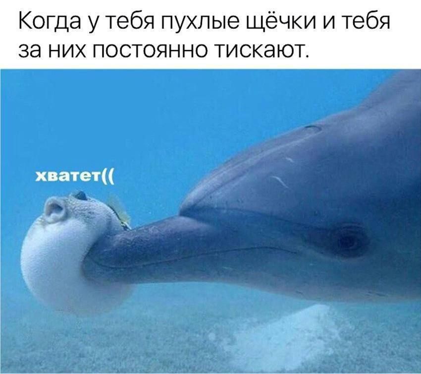 Когда у тебя пухлые щёчки и тебя за них постоянно тикают.
хватет((