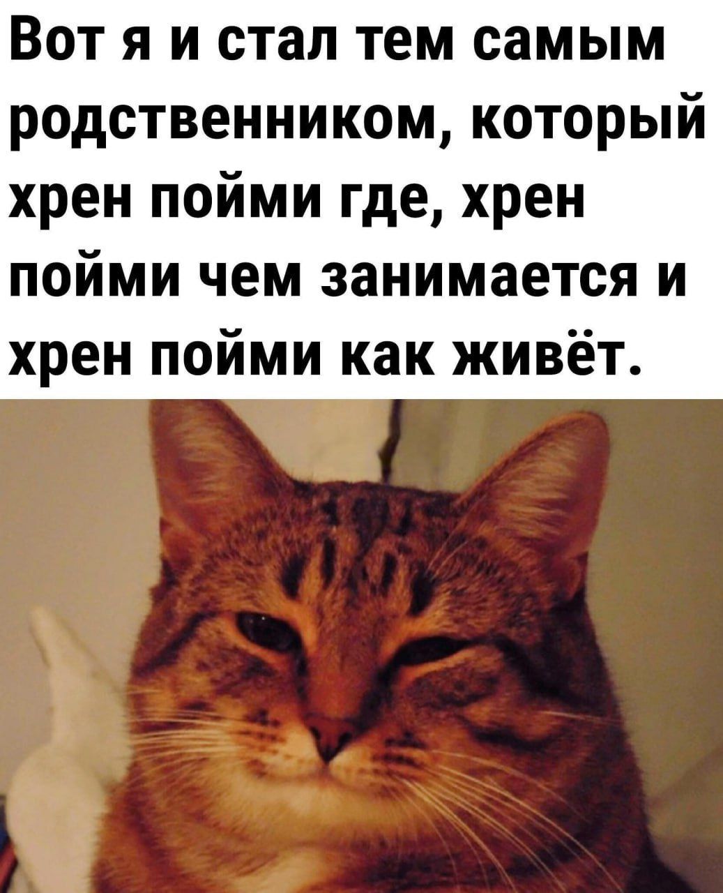 Вот я и стал тем самым родственником, который хрен пойми где, хрен пойми чем занимается и хрен пойми как живёт.