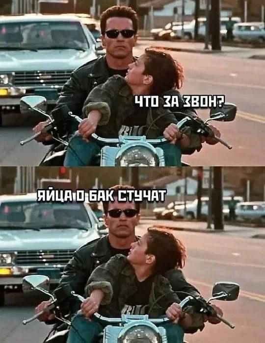 ЧТО ЗА ЗВОН?
ЯЙЦА О БАК СТУЧАТ