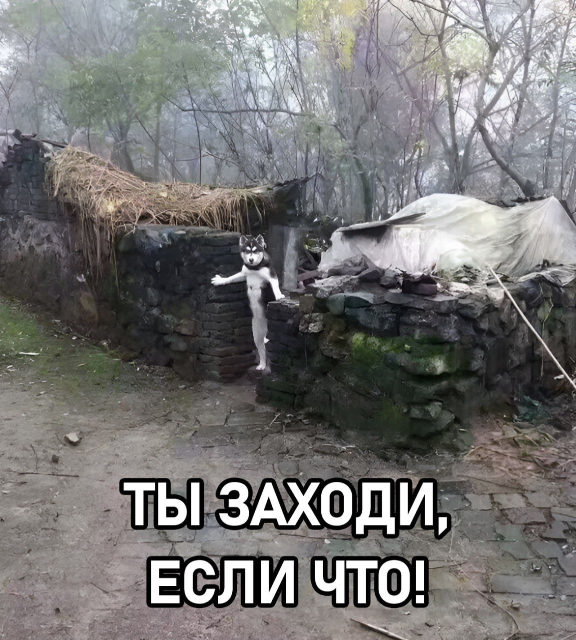 ТЫ ЗАХОДИ, ЕСЛИ ЧТО!