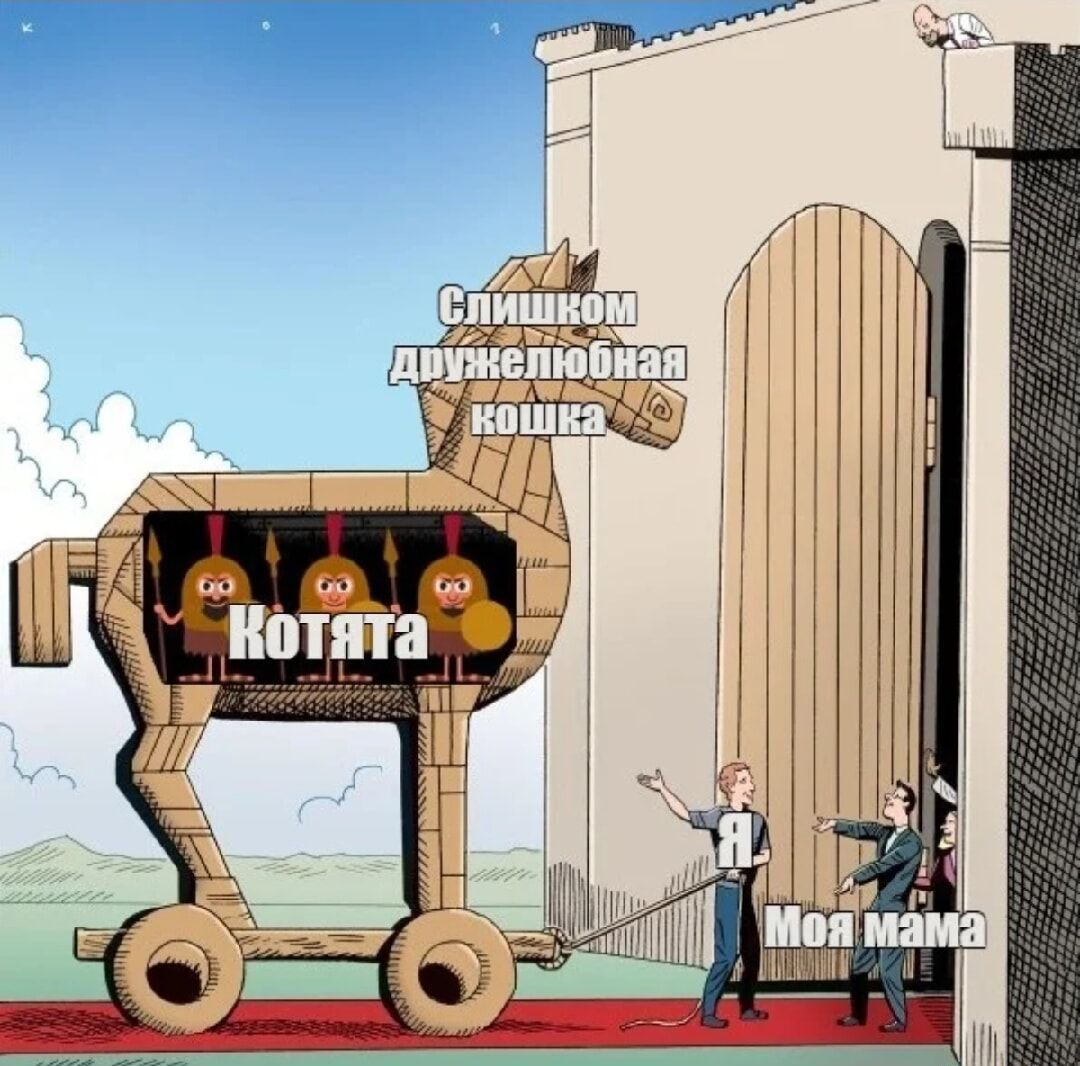 слишком дружелюбная кошка
КОТЯТА
Я Моя мама