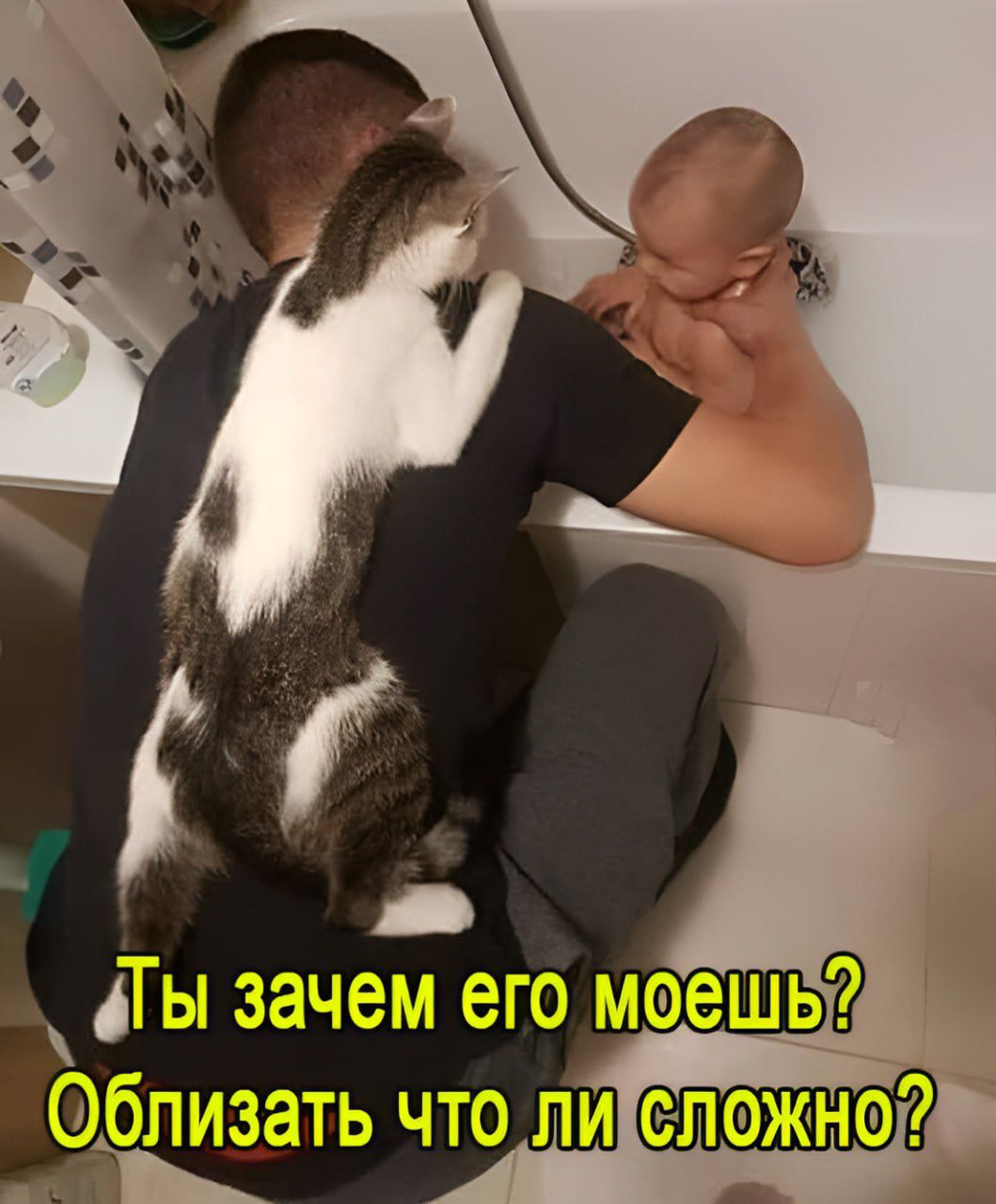 Ты зачем его моешь? Облизать что ли сложно?