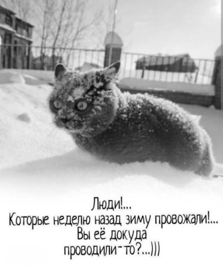 Люди!... Которые неделю назад зиму провожали!... Вы её докуда проводили-то?....!!