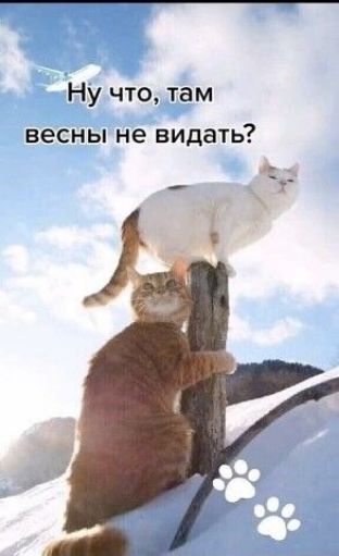Ну что, там весны не видать?