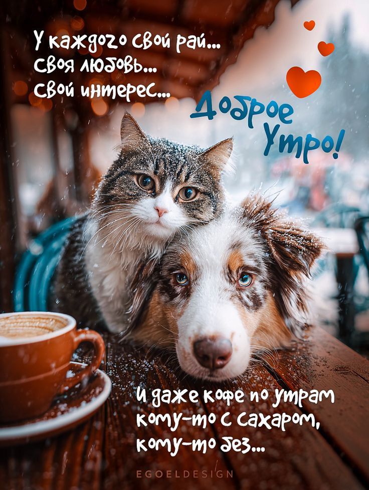 У каждого свой рай... Своя любовь... Свой интерес... Доброе утро! И даже кофе по утрам кому-то с сахаром, кому-то без...