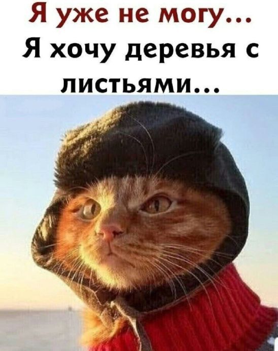 Я уже не могу... Я хочу деревья с листьями...