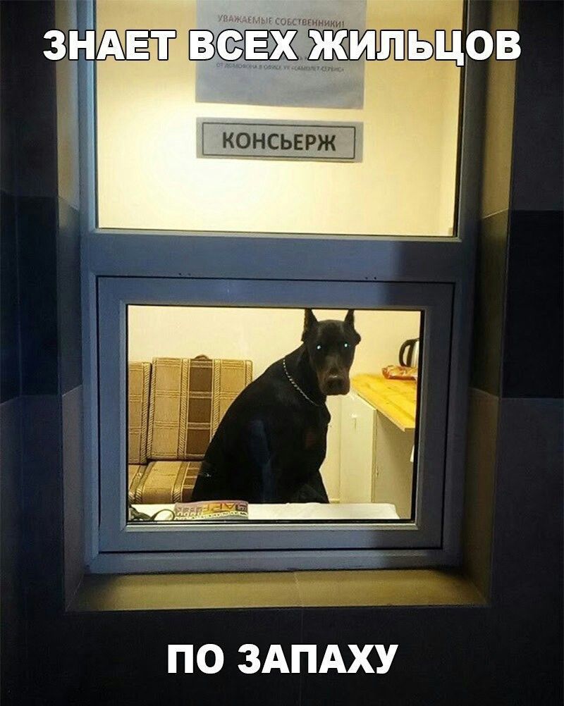 ЗНАЕТ ВСЕХ ЖИЛЬЦОВ ПО ЗАПАХУ