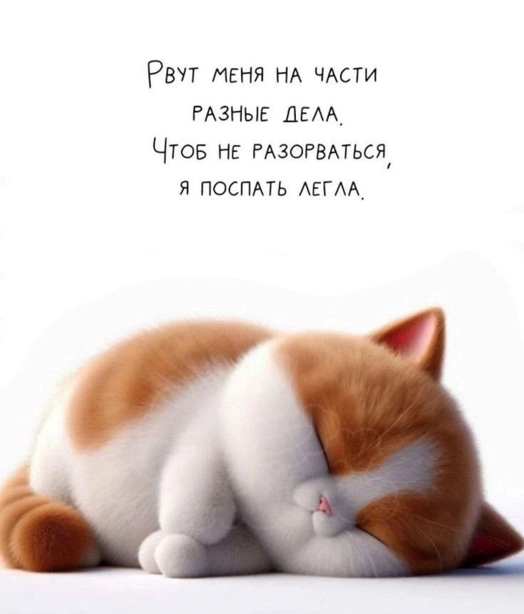 Рвут меня на части разные дела. Чтоб не разболаться, я поспать легла.