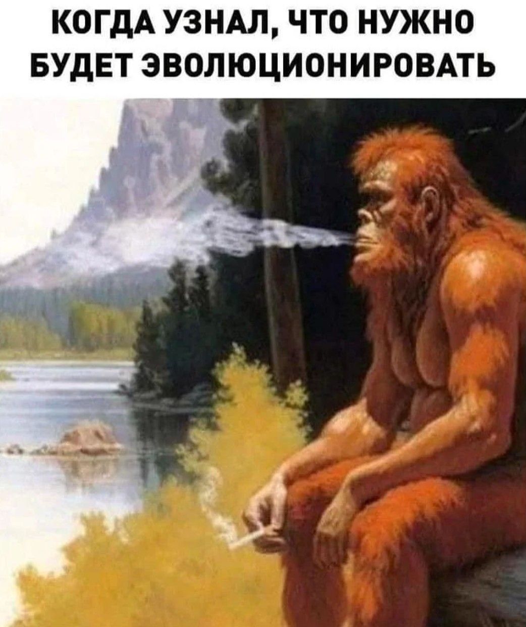 КОГДА УЗНАЛ, ЧТО НУЖНО БУДЕТ ЭВОЛЮЦИОНИРОВАТЬ