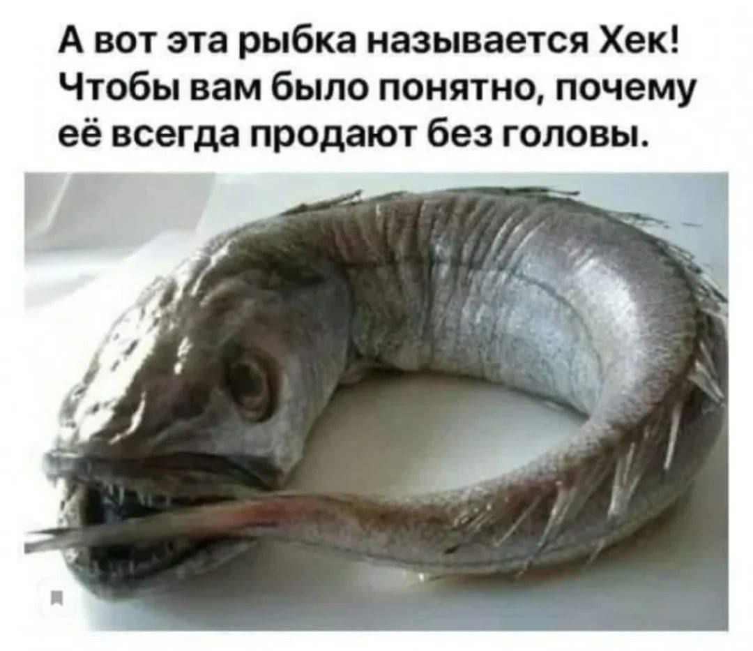 А вот эта рыбка называется Хек! Чтобы вам было понятно, почему её всегда продают без головы.