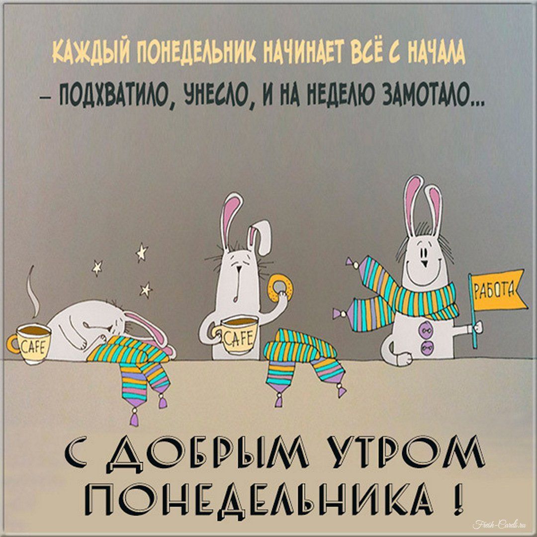 КАЖДЫЙ ПОНЕДЕЛЬНИК НАЧИНАЕТСЯ ВСЁ С НАЧАЛА — ПОДХВАТИЛО, УНЕСЛО, И НА НЕДЕЛЮ ЗАМОТАЛО... С ДОБРЫМ УТРОМ ПОНЕДЕЛЬНИКА!