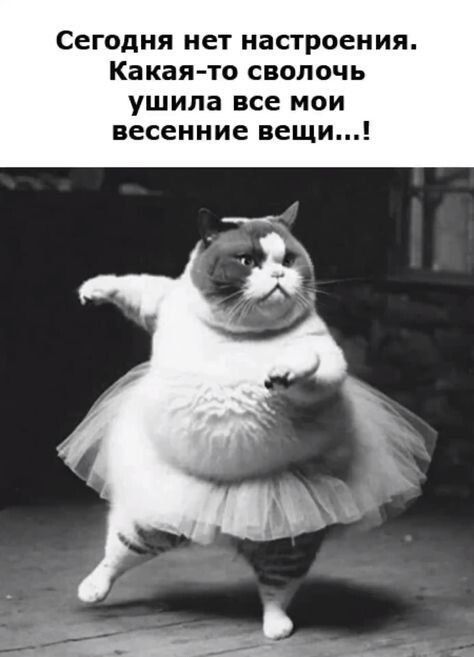 Сегодня нет настроения. Какая-то сволочь ушила все мои весенние вещи...!