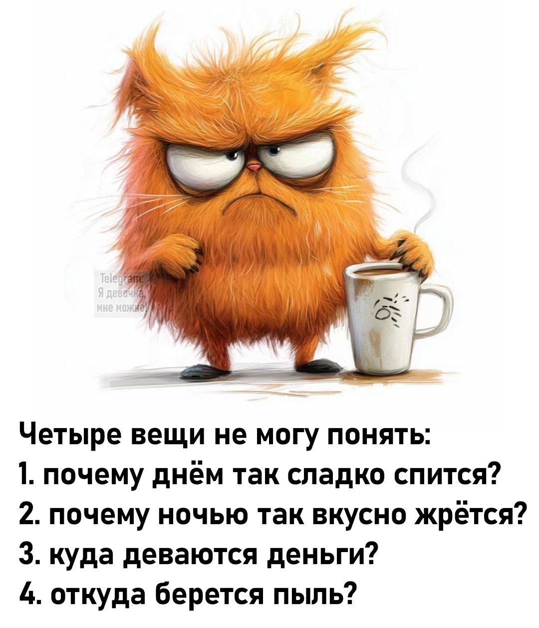 Четыре вещи не могу понять: 1. почему днём так сладко спится? 2. почему ночью так вкусно жрётся? 3. куда деваются деньги? 4. откуда берется пыль?
