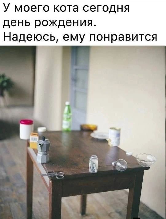 У моего кота сегодня день рождения. Надеюсь, ему понравится