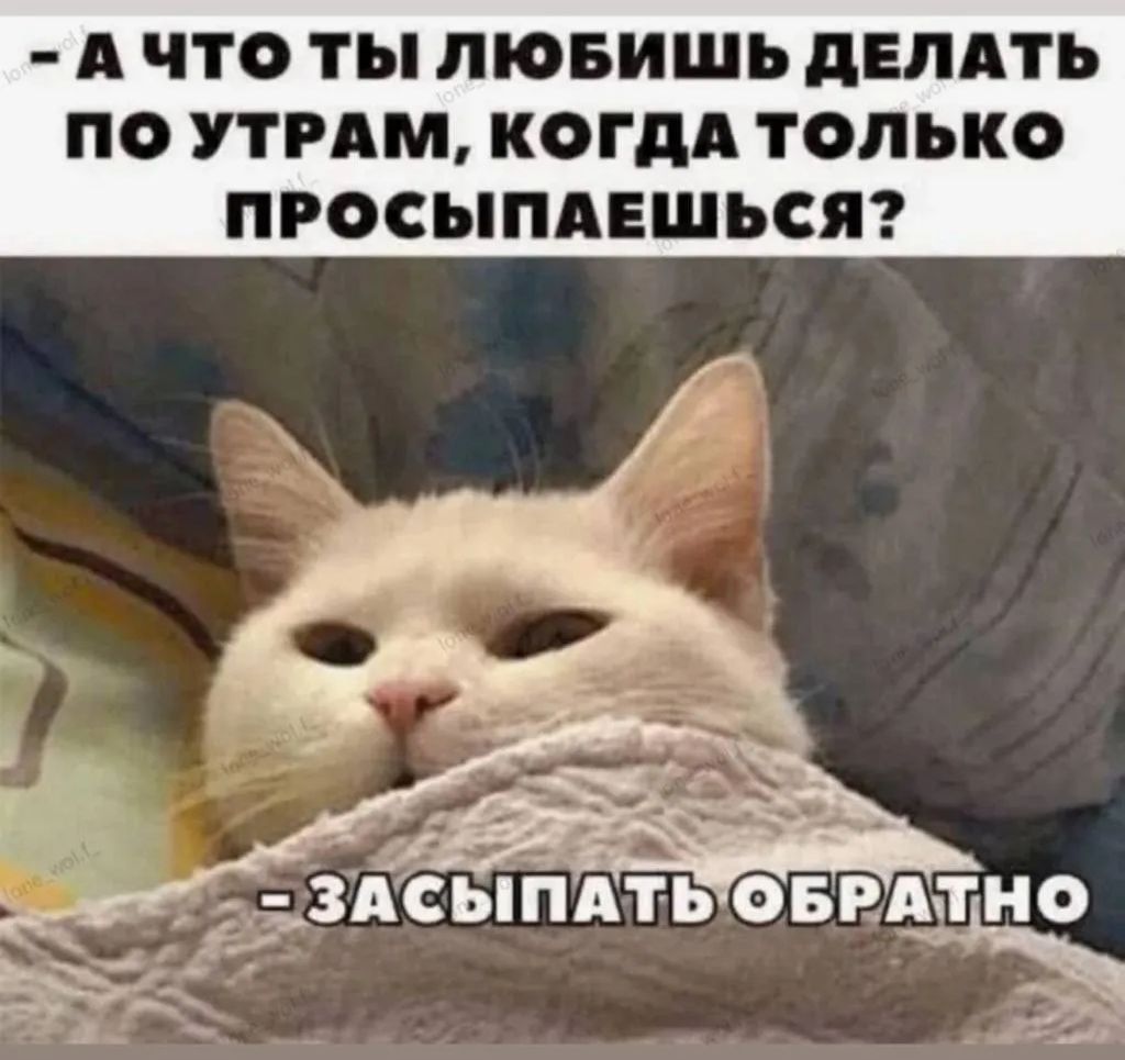 А что ты любишь делать по утрам, когда только просыпаешься? - Засыпать обратно