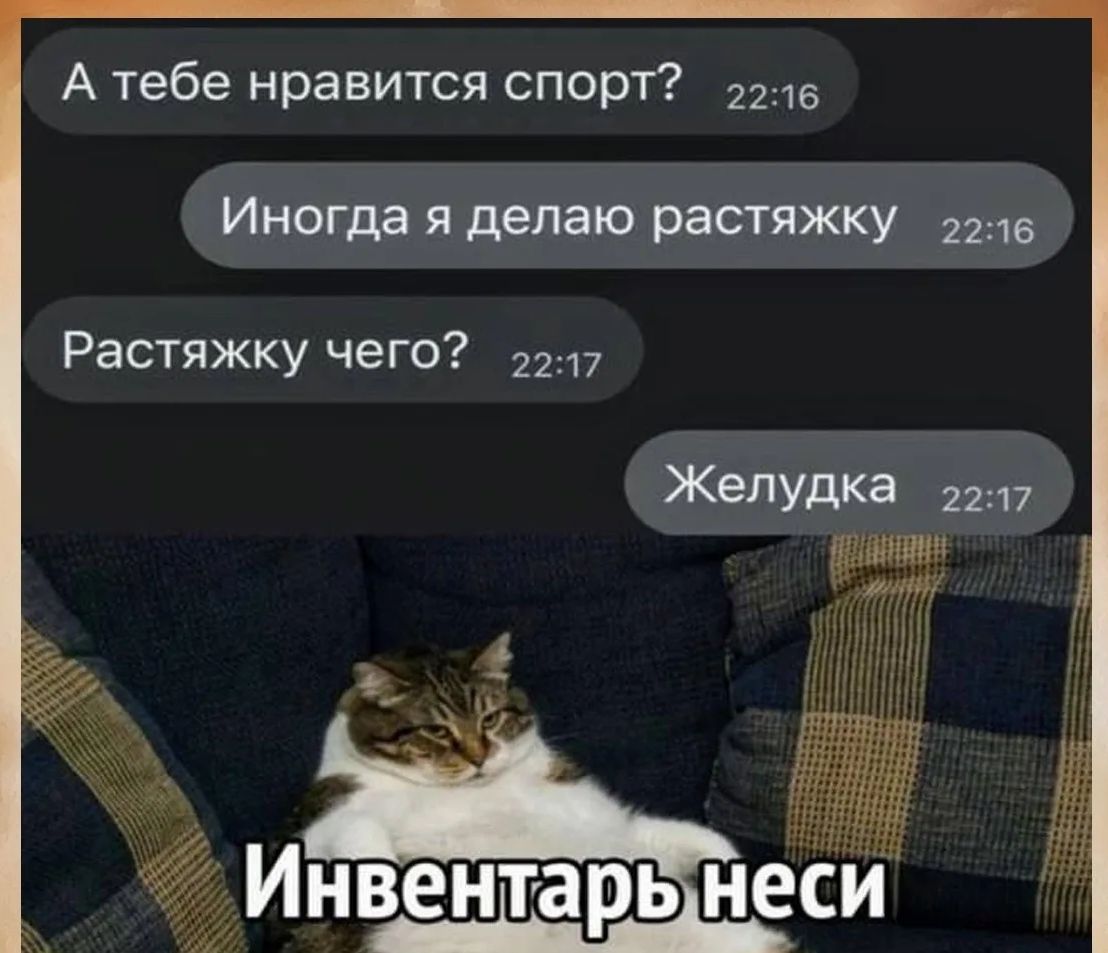 А тебе нравится спорт? Иногда я делаю растяжку. Растяжку чего? Желудка. Инвентарь неси.