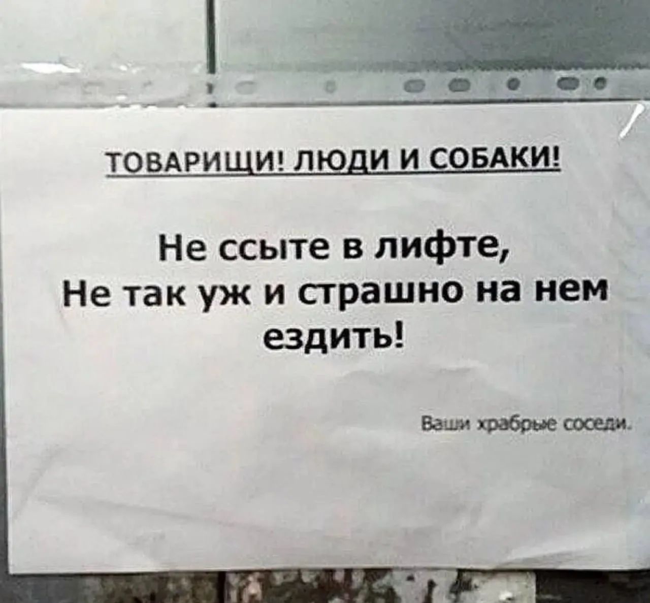 ТОВАРИЩИ! ЛЮДИ И СОБАКИ! Не ссыте в лифте, Не так уж и страшно на нем ездить! Ваши храбрые соседи.