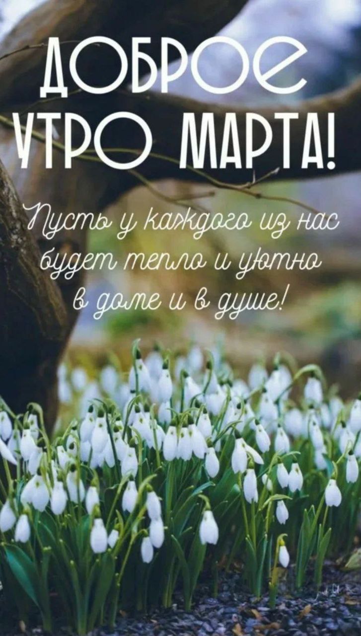 ДОБРОЕ УТРО МАРТА! Пусть у каждого из нас будет тепло и уютно в доме и в душе!