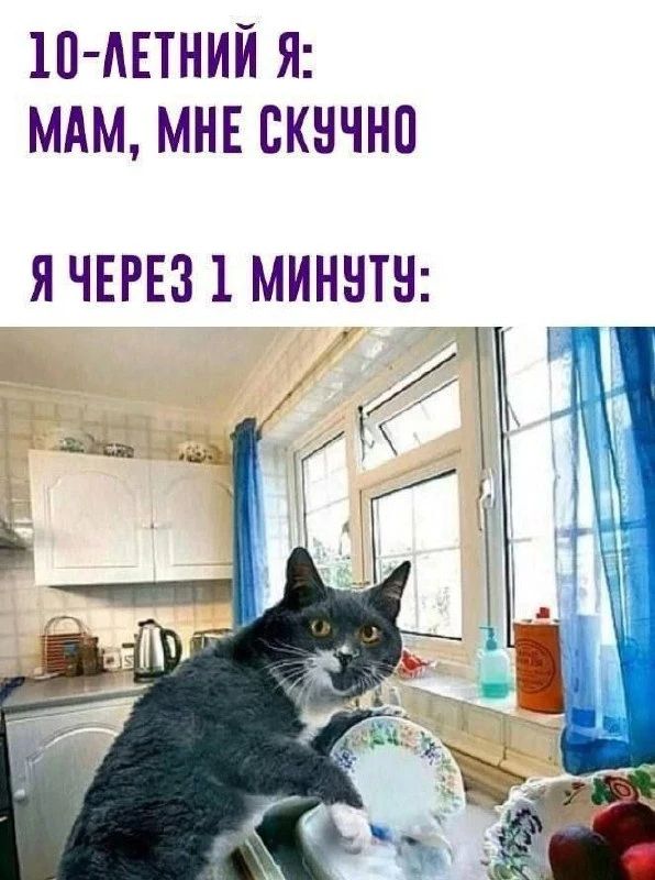 10-ЛЕТНИЙ Я: МАМ, МНЕ СКУЧНО Я ЧЕРЕЗ 1 МИНУТУ:
