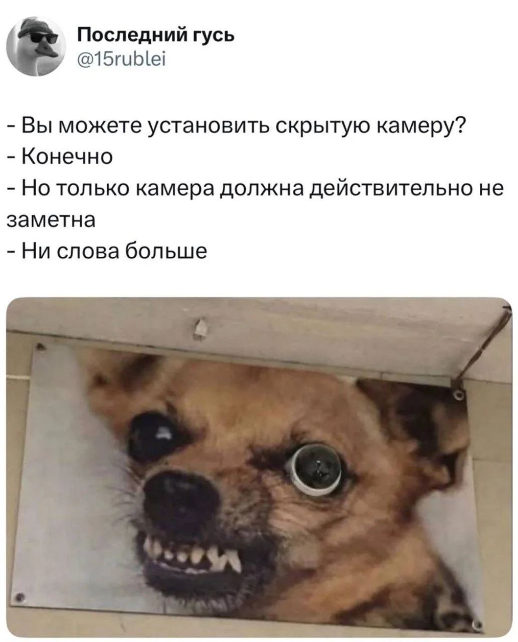 Последний гусь @15rublei - Вы можете установить скрытую камеру? - Конечно - Но только камера должна действительно не заметна - Ни слова больше
