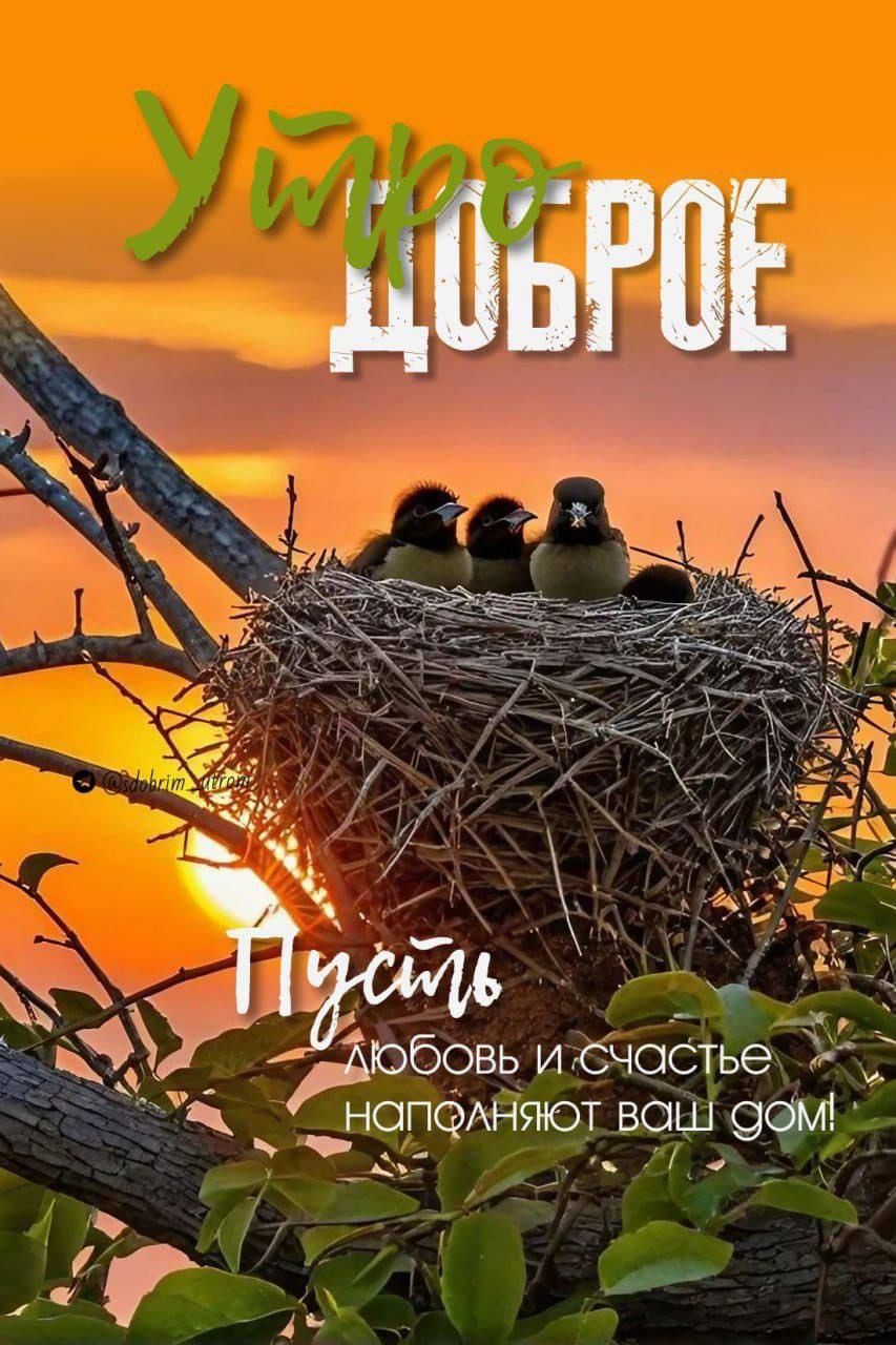 Утро доброе Пусть любовь и счастье наполняют ваш дом!