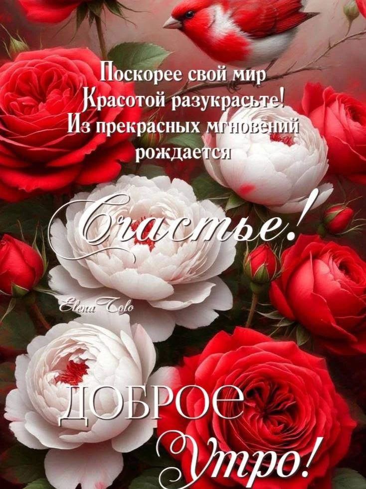 Поскорее свой мир Красотой разукрасьте! Из прекрасных мгновений рождается Счастье! Доброе Утро!