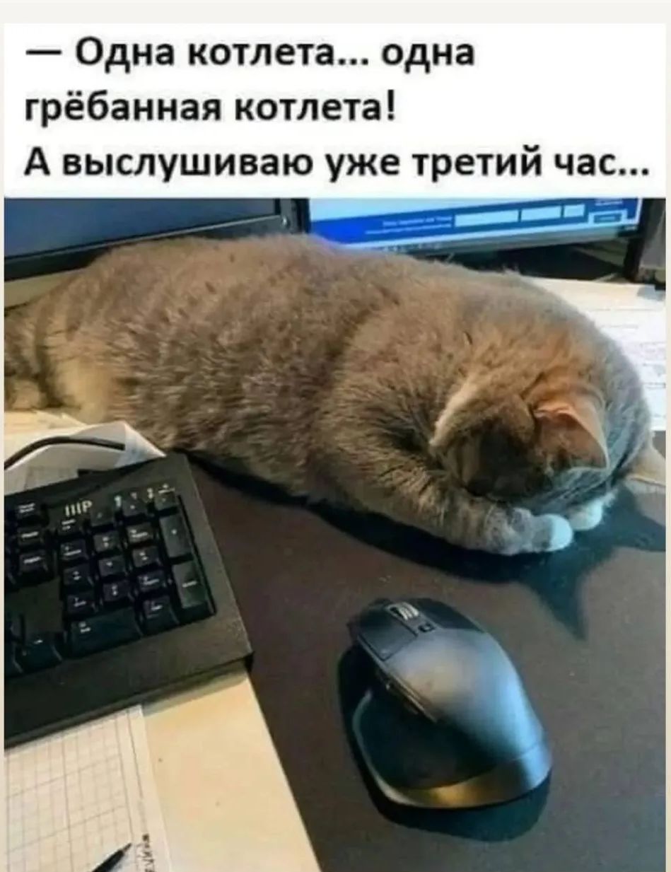 — Одна котлета... одна грёбанная котлета! А выслушиваю уже третий час...
