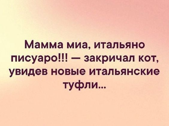 Мамма миа, итальяно писауро!!! — закричал кот, увидев новые итальянские туфли...