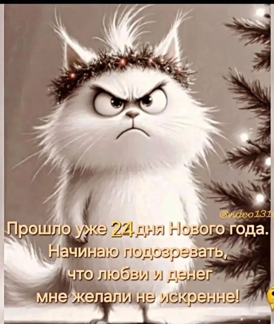 Прошло уже 24 дня Нового года. Начинаю подводить итог, что любви и денег мне желали не искренне!