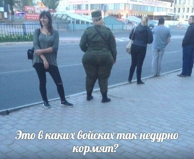 Міні тиши ___ ___ьгі__ і