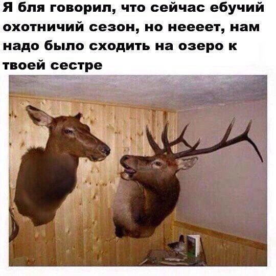 Я бпя говорил что сейчас ебучий охотничий сезон но иеееет нам надо было сходить на озеро к т оей сестре