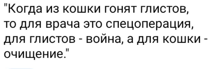 Когда из кошки гонят глистов то для врача это спецоперация для глистов война а для кошки очищение