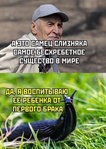 ттш Дэ ЁЕЁПЕЕЕЪЖБ ПЕЁБЩГЩЁРШЩг _ _