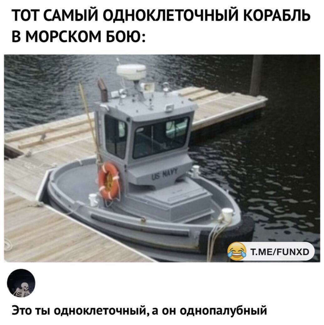 ТОТ САМЫЙ ОДНОКЛЕТОЧНЫЙ КОРАБЛЬ В МОРСКОМ БОЮ Это ты Одноклеточиыйд он однопалубиый