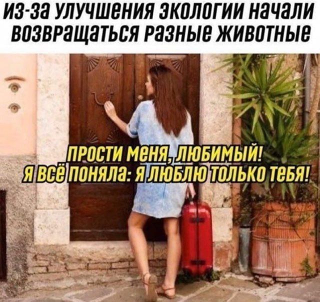 И3 32 УЛУЧШЕНИЯ ЗКШШГ ИИ НЗЧЗЛИ ВЦЗВРЗЩЗТЬСЯ РЯЗНЫЕ ЖИВПТНЫЕ