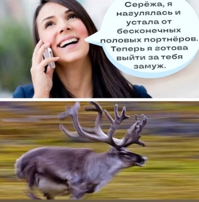 Сережа я нагупяпась и устала от бесконечных половых портнеров Теперь я готова выйти атебп замуж