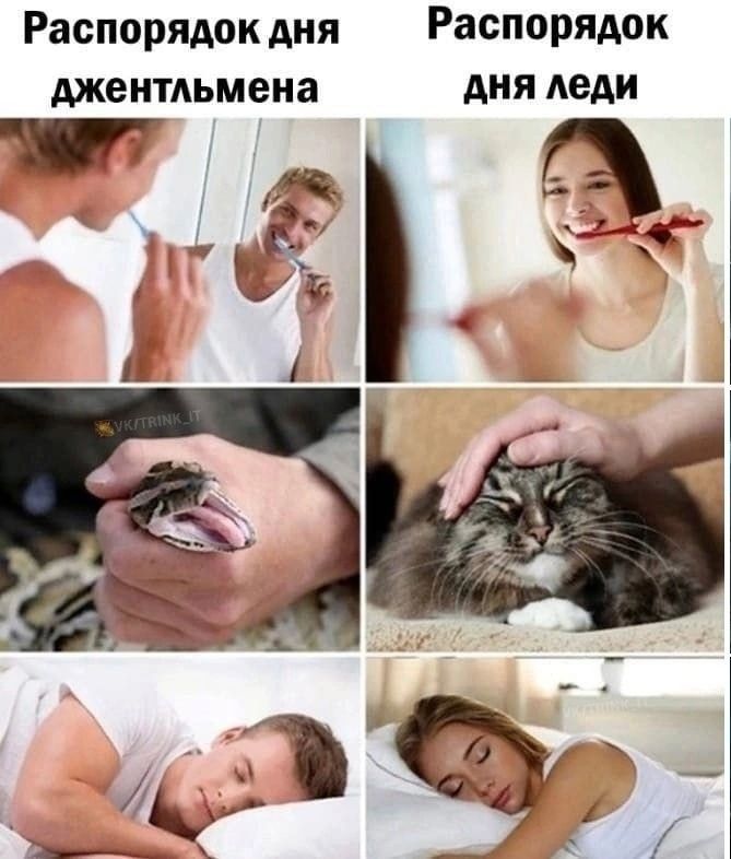 Распорядок дня Распорядок джентльмена Аня леди ТЁЁЁ 535