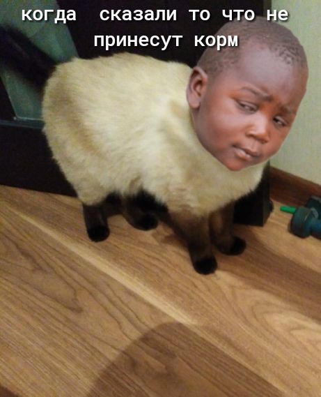 СКЭЗЗЛИ ТО Ч