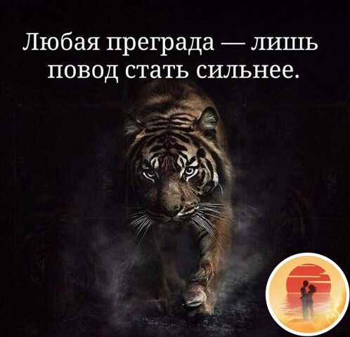 Любая преграда лишь повод стать сильнее