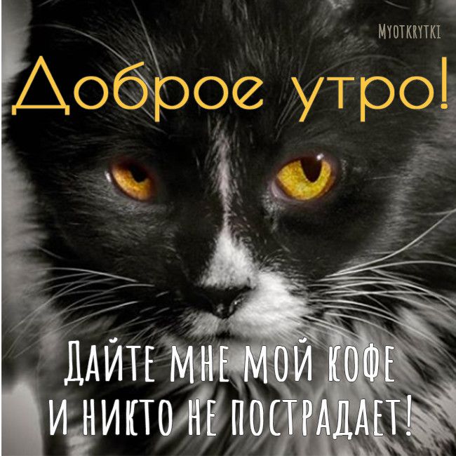 М шим Т 0 м