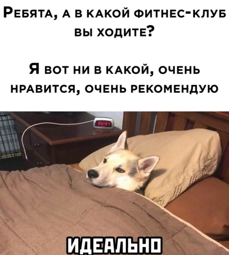 РЕБЯТА А в КАКОЙ Фитнес клув вы ходитв Я вот ни в КАКОЙ очень НРАВИТСЯ очвнь рекомендую ИдЕдПЬі Ш ъ