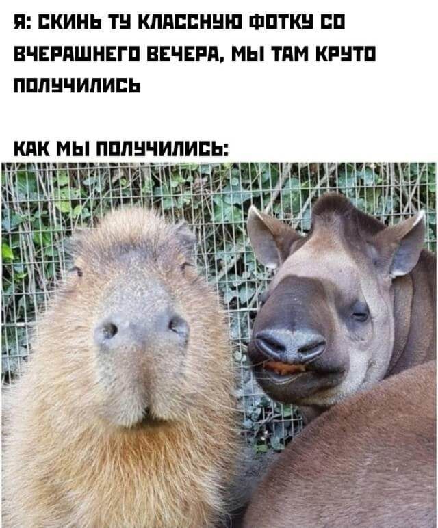 Я БКИНЬ ТН КЛППЕННШ ФПТКН БП ВЧЕРПШНЕГП ВЕЧЕРП МЫ ТДМ КРНТП ПППНЧИПИЕЬ