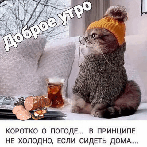 КОРОТКО О ПОГОДЕ В ПРИНЦИПЕ НЕ ХОЛОДНО ЕСЛИ СИДЕТЬ ДОМА