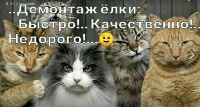 Каче венноЁ СЁТЁЁ Т ЭЁ ЧЁ А не 4