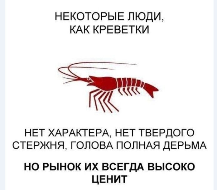 НЕКОТОРЫЕ ЛЮДИ КАК КРЕВЕТКИ НЕТ ХАРАКТЕРА НЕТ ТВЕРДОГО СТЕРЖНЯ ГОЛОВА ПОЛНАЯ ДЕРЬМА но рынок их ВСЕГДА высоко ценит
