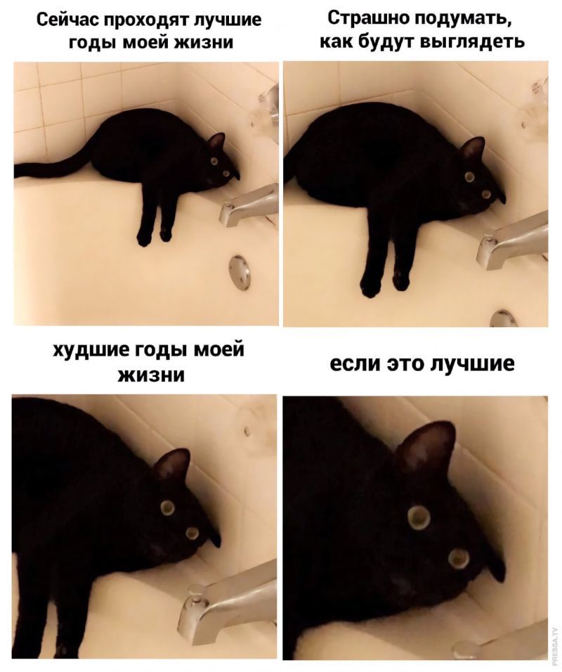 Сейчас проходят пучшие Страшно подумать годы моей жизни как будут выглядеть худшие годы моей ЖИЗНИ если ЭТО лучшие