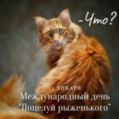 ЛНБАРЯ УПИРОДПЫЙ КПЬ пелуй РЫЖРПЬКОГО